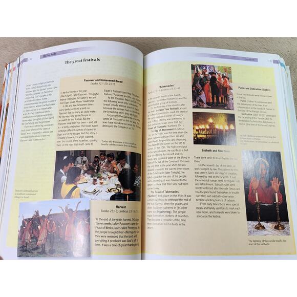 Handbook To The Bible Zondervan 1999 Printed in England Design Holli Leegwater - Picture 8 of 15